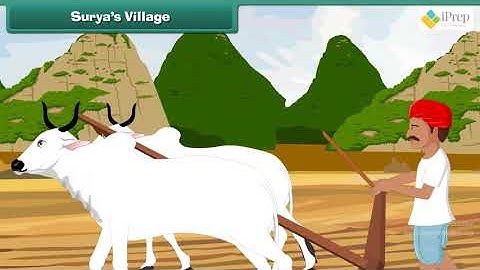 Class 5 EVS Chapter - 22 "On the Move Again" cbse ncert english Environmental studies Looking Around