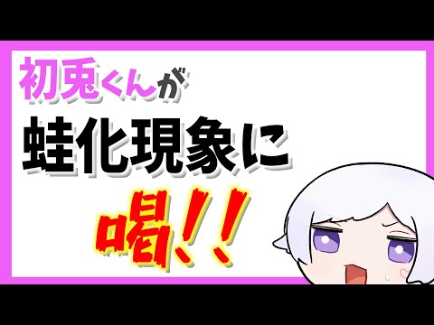 初兎くんが蛙化現象に”喝”！「あなたは●●したことありますか？」【いれいす】【切り抜き】