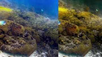 SeaThru-NeRF: Neural Radiance Fields in Scattering Media (CVPR 2023) - Curacao Scene