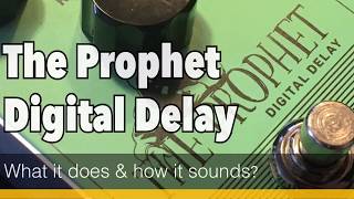 The Prophet Digital Delay - What it does and how it sounds by TC Electronic