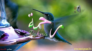 ما معنى اسم #رحمة وبعض من صفات حاملة هذا الاسم على قناة معاني الاسماء #rahma