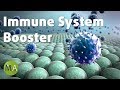 Immune System Booster Music with Isochronic Tones, Healing Meditation ☯158