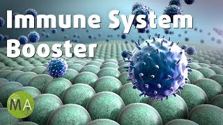 Immune System Booster Music with Isochronic Tones, Healing Meditation ☯158