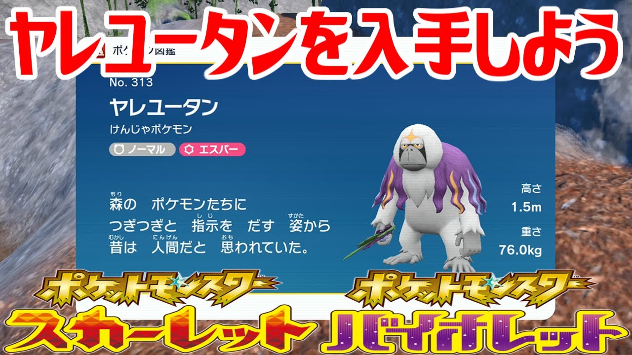 ゆうた　バイオレット　スカーレット ポケモンSV ヤレユータンを捕まえる方法！出現場所は？図鑑No