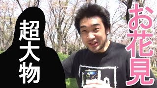 PD○と初コラボ！？大物YouTuberお花見に潜入してみた！