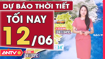 Dự Báo Thời Tiết Tối 12/06: Miền Bắc Mưa Dông Gia Tăng, Cục Bộ Có Mưa Vừa Mưa To Đến Rất To | ANTV