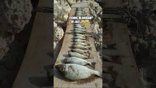 fishing in bahrain/harvest/paldo na naman! #fishing #bahrain