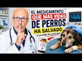 🐶  EL MEDICAMENTO PARA PERROS SIN RECETA QUE MAS VIDAS DE MASCOTAS HA SALVADO 🐶