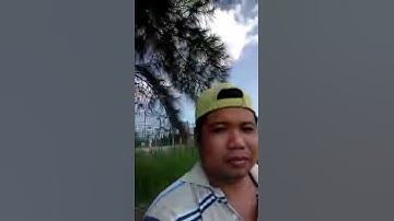 Câu cá sông Nhà Bè, Sài Gòn