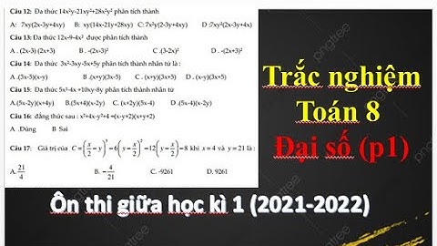 Bộ đề tắc nghiệm ôn tập toán 8 năm 2024