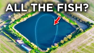 Netting a Fishing Lake - What Will We Catch? by Fish With Carl 730,217 views 2 weeks ago 19 minutes