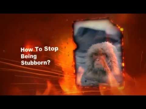 How To Stop stur?