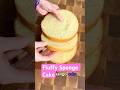 SPONGE RECIPE IN COMMENTS #baking #recipe #cake #bread