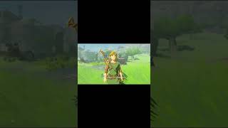 Well, there goes the drama (BotW)