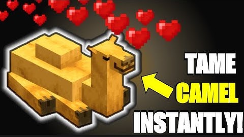 How to FIND, TAME & RIDE a Camel in Minecraft 1.20! (Bedrock and Java) | Trails and Tails Update