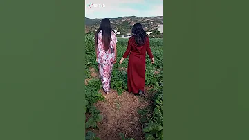 مولات لحمر خلات قلبي مدمر 