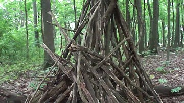 4th Sasquatch / Tree Structure