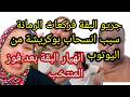البقة فركعات الرمانة بخصوص انسحاب بوكريشة من اليوتوبفضيحةالعاقة ومول الرفيسة mp3