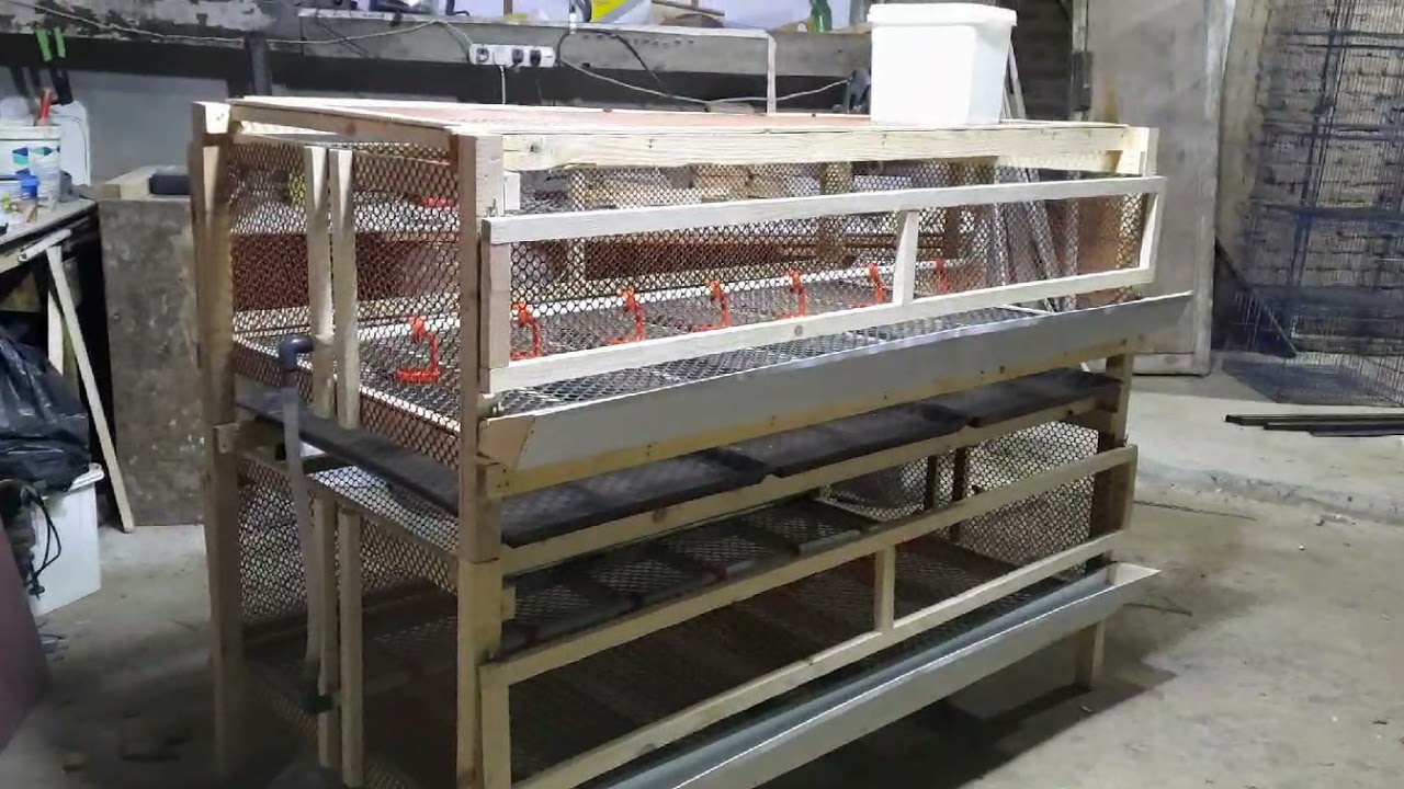 بطارية الدواجن المنزلية متر×١٨٠دورين لكل مربيين المنازل حاجة جميلة وكلها توفير