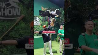 Exotic Bird Show Dubai · A Must-See Dubai Visit Attraction · Book Now #dubaidolphinarium #dubai