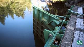 Oregon's Working Waterfront Tour: Tide Gates