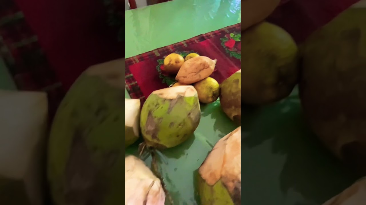 Chopping Coconuts In Dominican Republic 🇩🇴🥥 YouTube