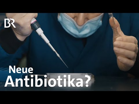 Auf der Suche nach neuen Antibiotika: Hilfe gegen multiresistente Bakterien | Gut zu wissen | BR