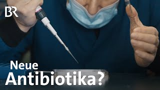 Auf der Suche nach neuen Antibiotika: Hilfe gegen multiresistente Bakterien | Gut zu wissen | BR