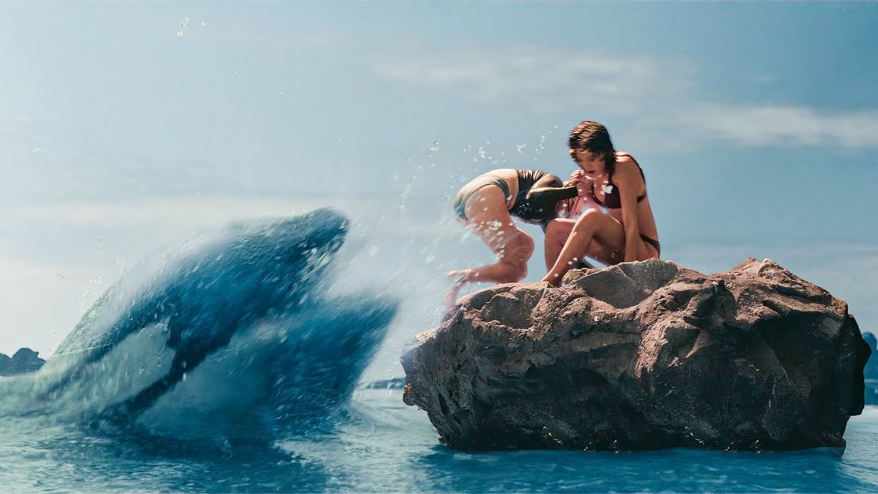 Dwie Dziewczyny Uwięzione Na Skale Po Tym, Jak Orka Uciekła I Zaczęła Na Nie Polować