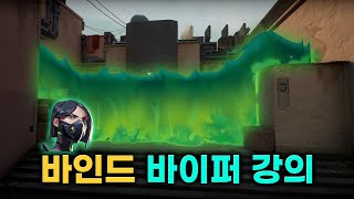프로들도 몰래 쓰는 바인드 바이퍼 꿀팁