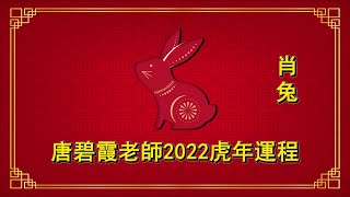 兔 - 虎年2022十二生肖運程 - 碧霞老師