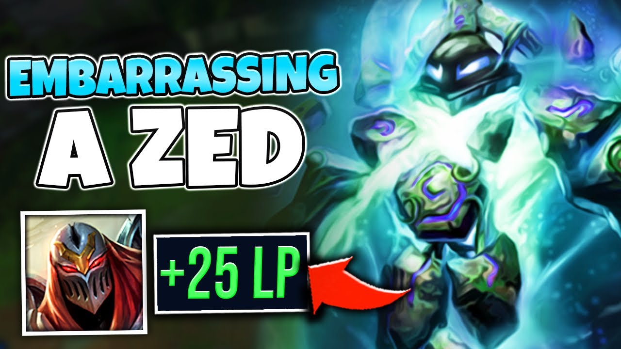 zed counter zed counter