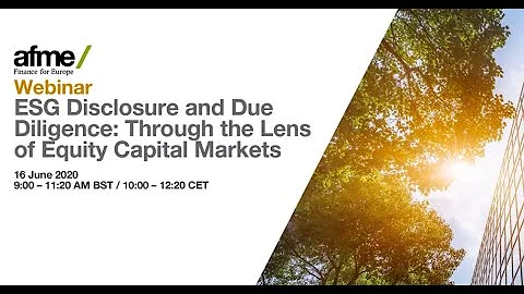 ESG Disclosure and Due Diligence: Through the Lens of Equity Capital Markets