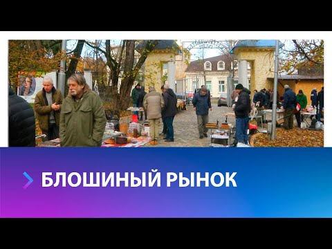 Блошиный рынок переехал в Центральный парк