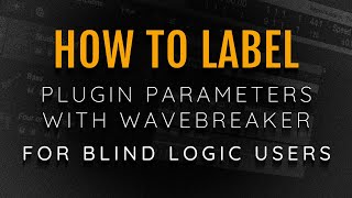 How TO Label Plug In Parameters With VoiceOver ML WaveBreaker Interface Overview For Blind Users
