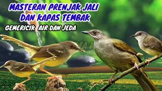 MASTERAN PRENJAK JALI DAN KAPAS TEMBAK (JEDA DAN GEMERICIK AIR)