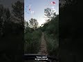 Trace 0463 single de la Mouline #vtt #mtb #vttxc