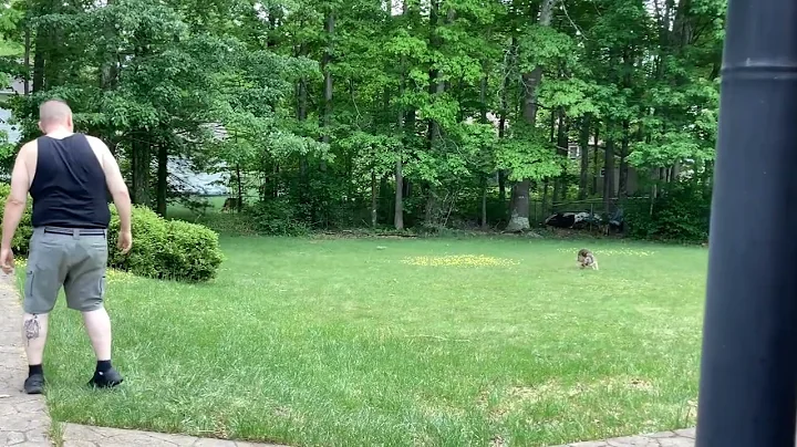 My son teaching ORION Fetch