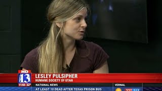 Lesley Pulsipher and Ratatouille with Humane Society of Utah on Fox 13 (1/15/15)