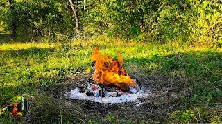 Bonfire Sound and Forest Bird Singing