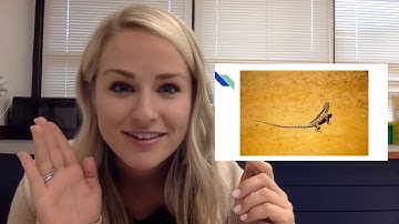 Small Moments - Unit 1 - Session 5