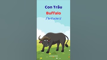 Con Trâu - Học từ vựng và phát âm tiếng Anh #thaytuvuitinh