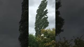 30-40mph winds UK