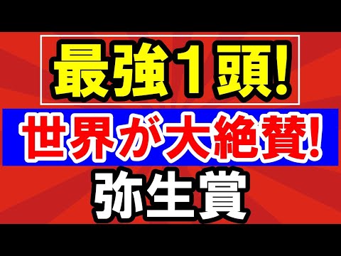 【 弥生賞 2025 】 世界が大絶賛!最強1頭!&対抗候補・穴馬候補も紹介!