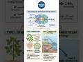 Biological Nitrogen Fixation #agriculture #neet #biologyshorts #shorts #ytshorts