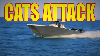 CATS ATTACK! 4K | CATAMARANS ARE EVERYWHERE! | Boats at Jupiter Inlet