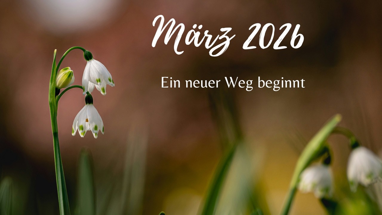 #Orakel | März 2026: Deine Seele spricht zu dir 🦋 #tarot #lenormand