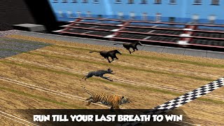 Crazy Real Dog Race Greyhound Racing Game Gameplay Android #1 Dishoomgameplay screenshot 5