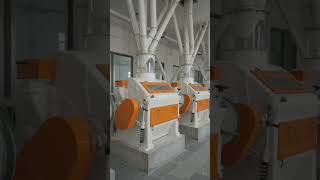 #Shorts #FlourMill #FlourMillsPakistan#Atta #Factory #Pakistan #Industry