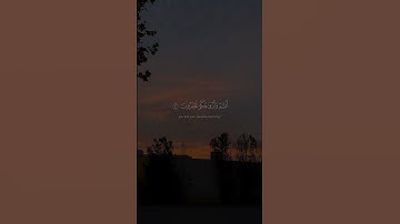 ادْخُلُوا الْجَنَّةَ أَنتُمْ وَأَزْوَاجُكُمْ تُحْبَرُونَ﴾[ سورة الزخرف: 70]